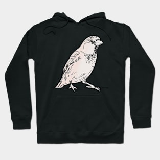 Sparrow Hoodie